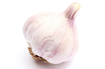 Fresh bulb of garlic on white background