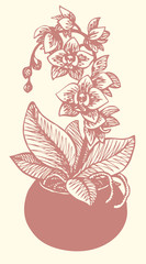 Vector drawing. Flowering branch of orchid in a round vase © Marina