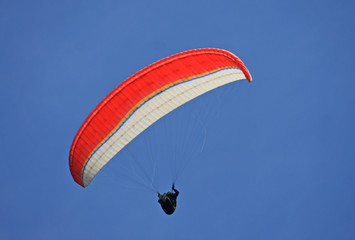 paraglider