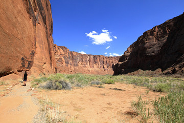 plage du colorado river, arizona