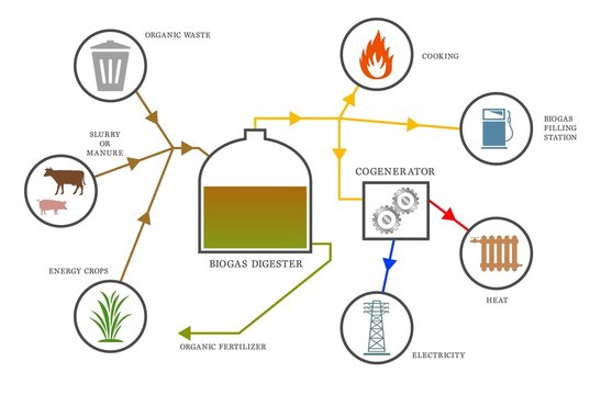 Biogas Diagram