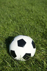 Fototapeta na wymiar Classic Black and White Soccer Ball Football on Green Grass