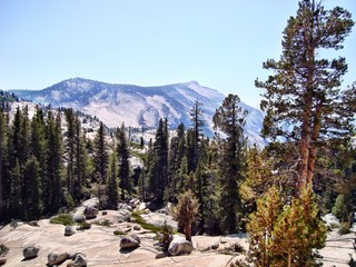 Yellowstone National Park