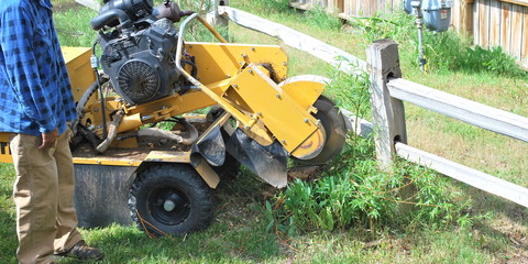 Tree stump machine.