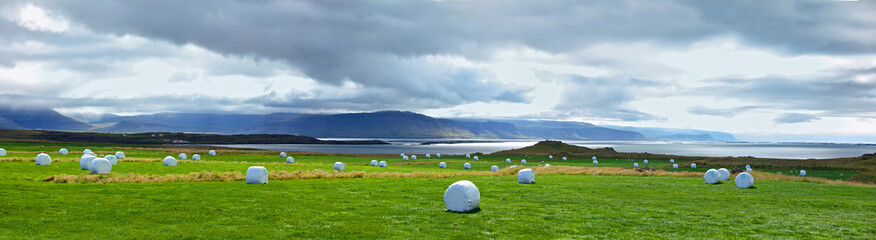 Obraz premium Islandzki krajobraz wiejski.