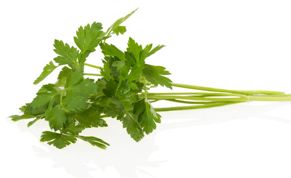 bunch of parsley on a white background