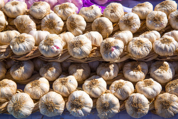 Garlic bunches stacked in a row