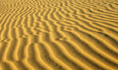 ripples