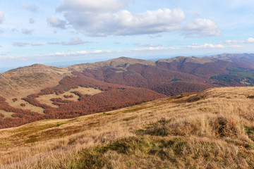 Bieszczady mountains
