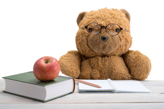 Teddy Bear in school