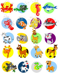 Animals Cartoon Collection