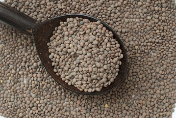 Brown Lentils