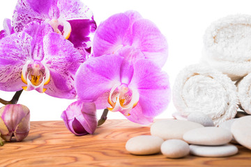 Spa still life with stone, lilac orchid and towel on root wood b