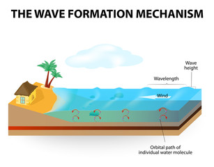 Obraz premium wave formation mechanism