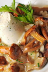 Fresh risotto with mushrooms and  mousse, close up shoot