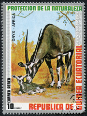 stamp printed by GUINEA shows Oryx, series animals