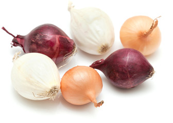 mini onions isolated on white