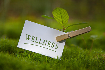 Wellness