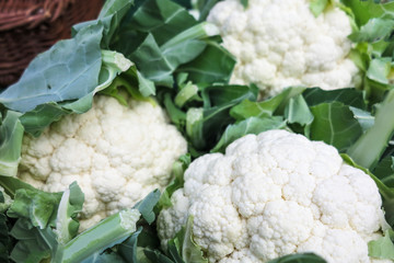 Blumenkohl