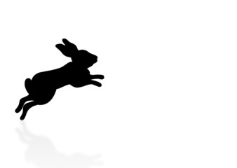 Obraz na płótnie Canvas springender Hase - jumping bunny