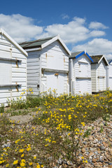 Goring Beach Huts