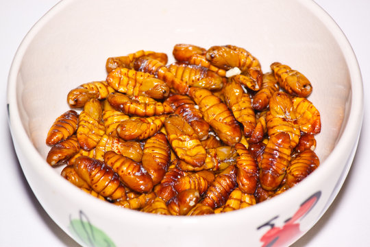 fried silkworms