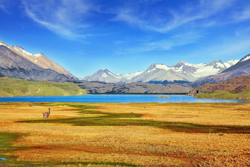 A  blue lake surrounded by snow-capped mountains.