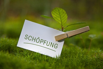 Schöpfung