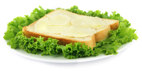 Sliced bread with cheese and green lettuce