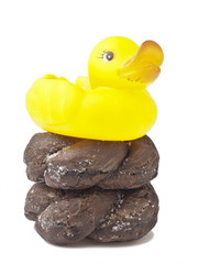 duck and donut