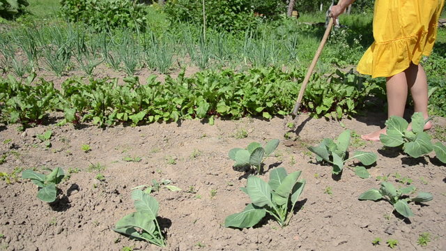 Barefoot woman in yellow dress grub weeds with hoe in garden