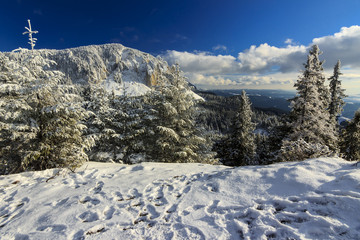 Winter mountain landscape