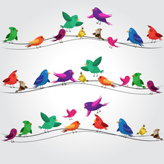 many colorful birds