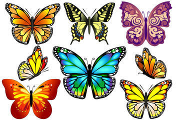Fototapeta na wymiar Set of Colorful Realistic Isolated Butterflies.