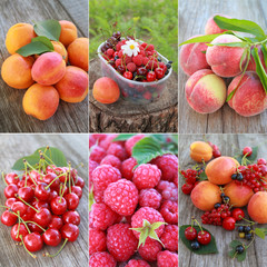 fruits and berries collage