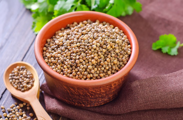 coriander