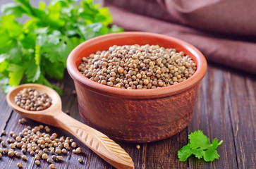 coriander
