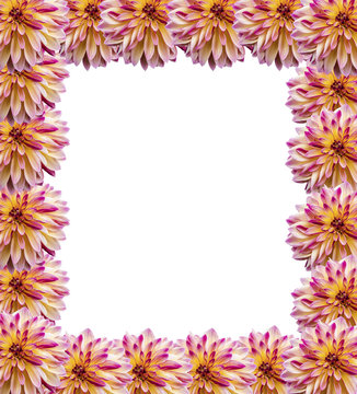 Frame of flowers dahlias