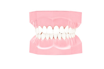 Studio shot of a dentures made out of plaster cast