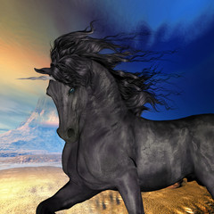 Fototapety  Black Buck Unicorn