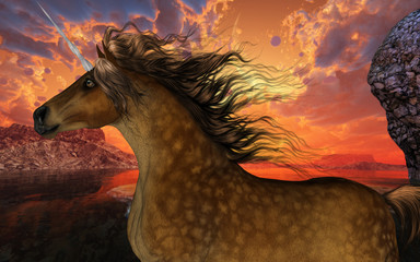 Fototapety  Unicorn Sunset