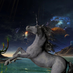 Unicorn Universe © Catmando