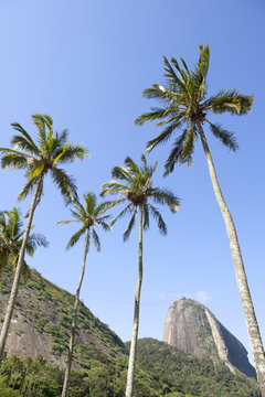 Sugarloaf Mountain Rio de Janeiro Brazil