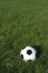 Fototapeta na wymiar Classic Black and White Soccer Ball Football on Green Grass