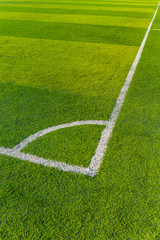 Fototapeta premium Artificial Turf on a Sports Field