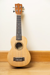 Fototapeta premium Ukuele