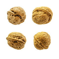 Four walnuts isolated on a white background