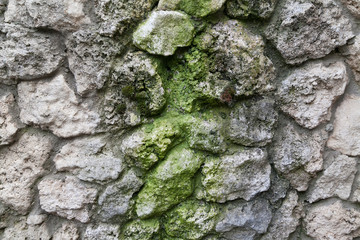 Stone wall texture with moss