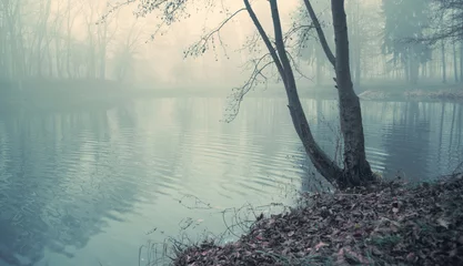 Selbstklebende Fototapete Artist KB Dunkler See mitten im Wald