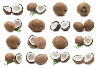 Coconuts